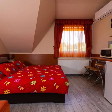Guest house Erika Vendeghaz 2*