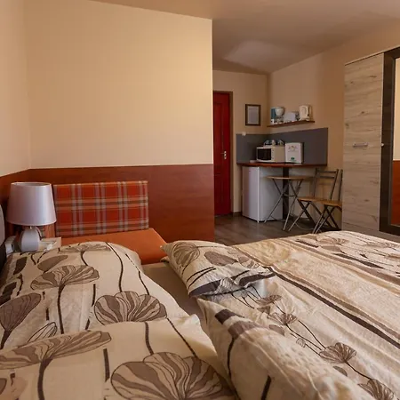 Erika Vendeghaz Guest house 2*